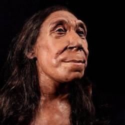Mujer neandertal reconstruida