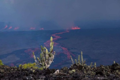 Volcán Sierra Negra en Galápagos reduce actividad pero continúa en erupción