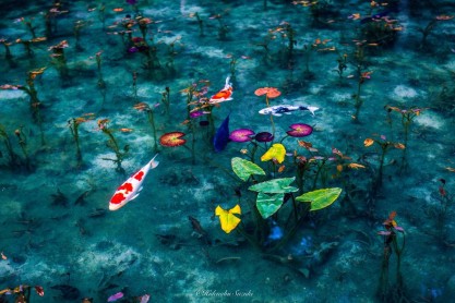 Fotografías de Japón en época de lluvia que parecen pinturas