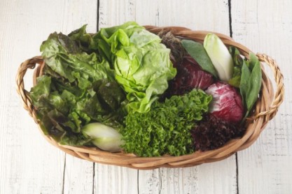 Los 10 alimentos más saludables para una vida sana