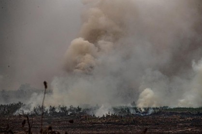Incendios devastan el 22 % del gigantesco humedal Pantanal en Brasil