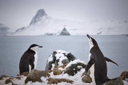 Las maravillas de La Antártida