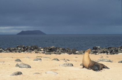 Galápagos: el primer lugar para visitar antes de morir
