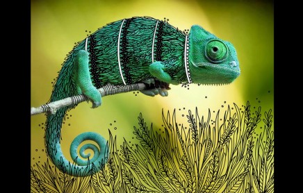 ‘Trajes de fantasía’, los diseños de un ilustrador sobre fotografías de animales