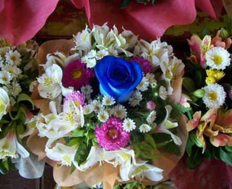 Rosas ecuatorianas deslumbran en la feria de las flores de Nueva York