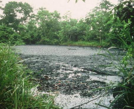 Rotura de tubería ocasiona derrame de crudo en provincia de Sucumbíos