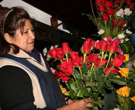 La rosa ecuatoriana reina en exposición de flores en la Mitad del Mundo