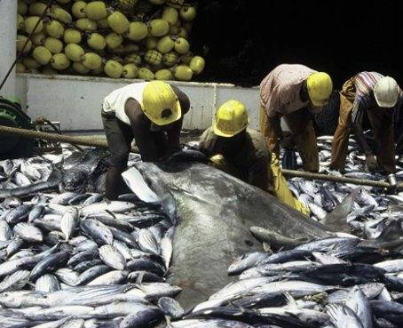 Empresas españolas buscan estrechar lazos con industria pesquera de Ecuador