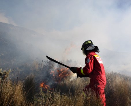 A bomberos de Quito les falta personal para controlar 1.990 incendios forestales