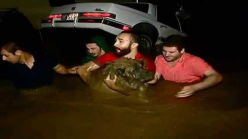 Moradores intentan poner a salvo a los animales que escaparon del Zoo de Georgia