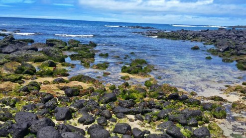 Galápagos, las islas que encantan