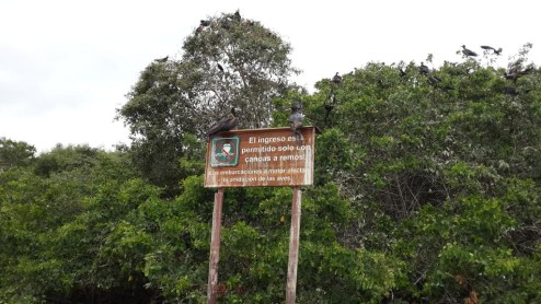 Ecuador Sobre Ruedas emprende un nuevo recorrido por la ruta de los manglares