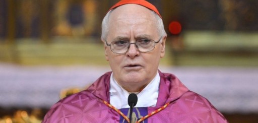 Cardenal Scherer dice no tener conocimiento de fraudes en entidad vaticana