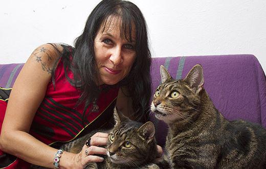 Mujer británica se casa con dos gatos