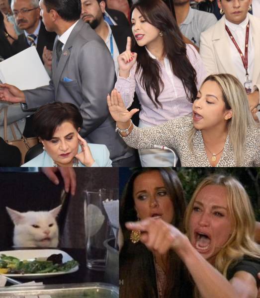 Meme que compara la foto de la sesión legislativa del meme de una mujer gritando a un gato.
