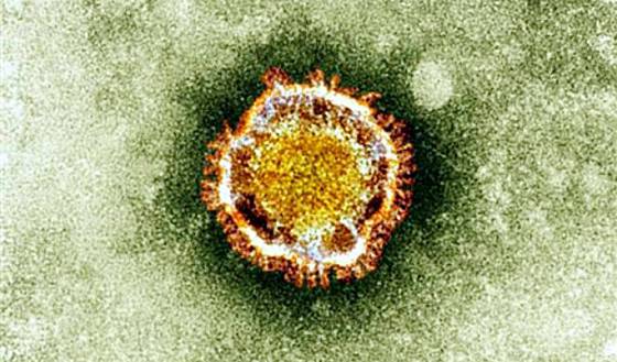 El coronavirus podría transmitirse entre humanos alerta la OMS