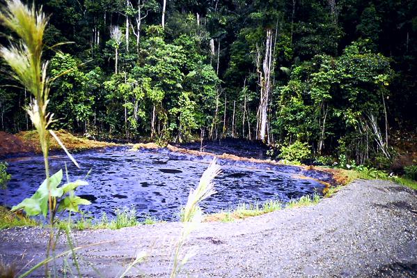 Ecuatorianos podrán demandar a Chevron en Cánada