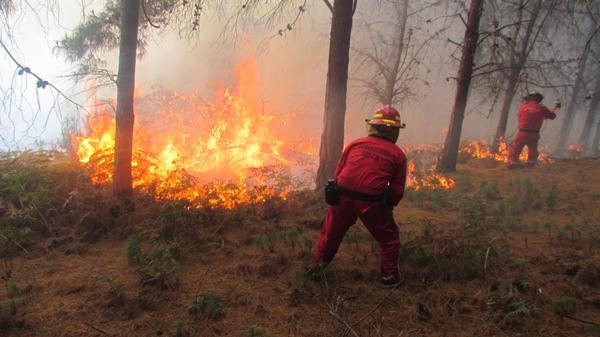 Incendios forestales también se registran en cinco cantones de Loja