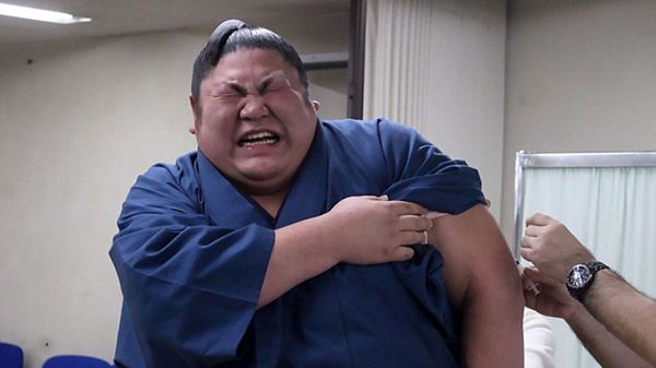 La tierna reacción de los luchadores de sumo al recibir una vacuna