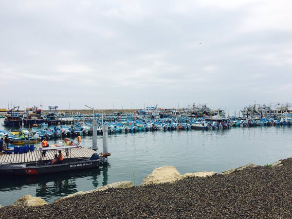 Pescadores argentinos y ecuatorianos dialogan sobre comercialización