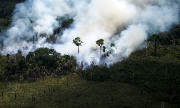 Bolsonaro sospecha que ONGs habrían provocado incendios