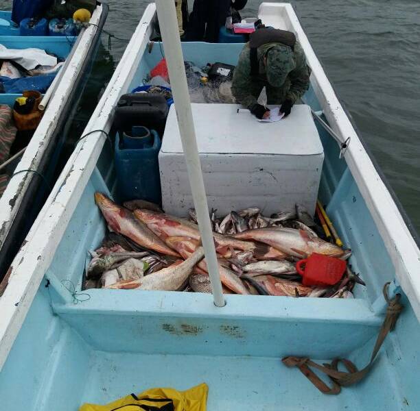 Detienen a 25 pescadores acusados de robo a una embarcación en Puerto Bolívar