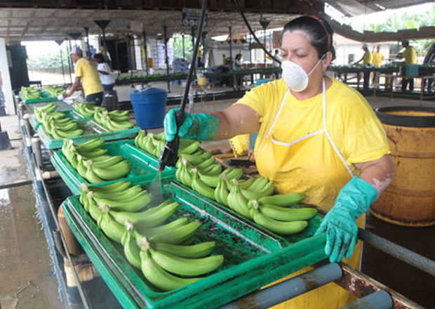Suspenden remate en hacienda bananera tras pago a extrabajadores