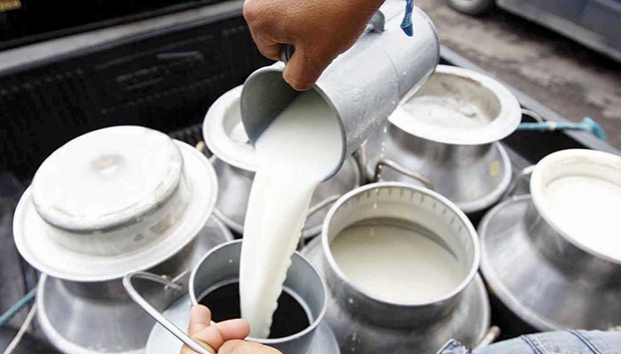 Arcsa descarta otros lotes de leche contaminada