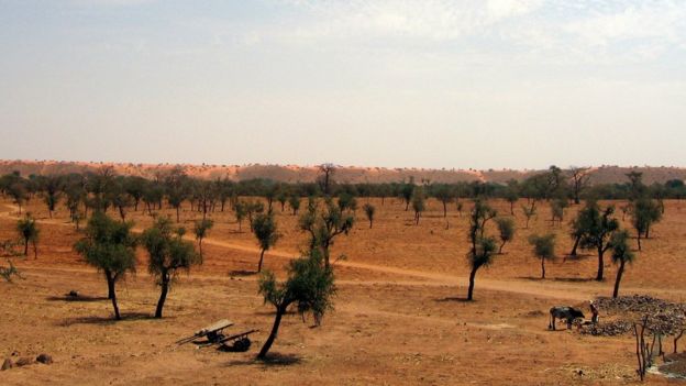 Cómo era el Sahara antes de convertirse en uno de los mayores desiertos del planeta