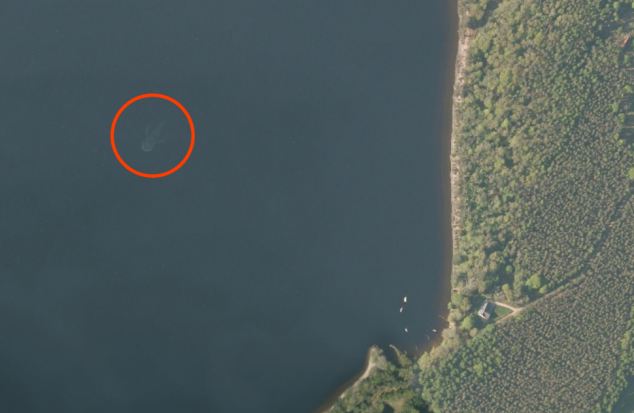 Captan extraña figura en el Lago Ness