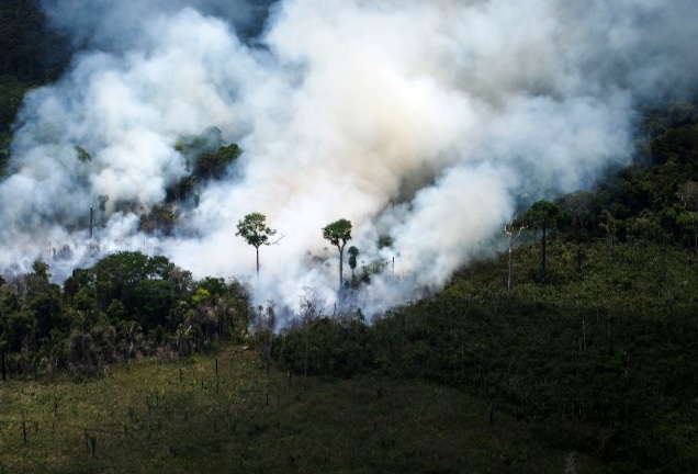 Moreno ofrece avión por incendios en la Amazonía