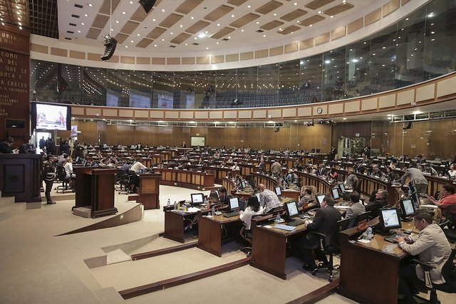 Asamblea resuelve veto de ley para erradicar violencia contra las mujeres