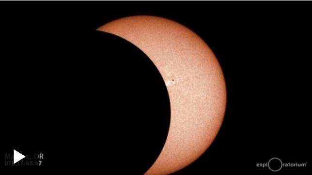 4 hechos curiosos que sucedieron durante el eclipse solar que atravesó EEUU
