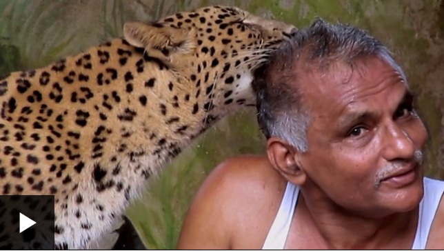 El hombre que comparte su casa con leopardos, hienas y otros peligrosos animales salvajes