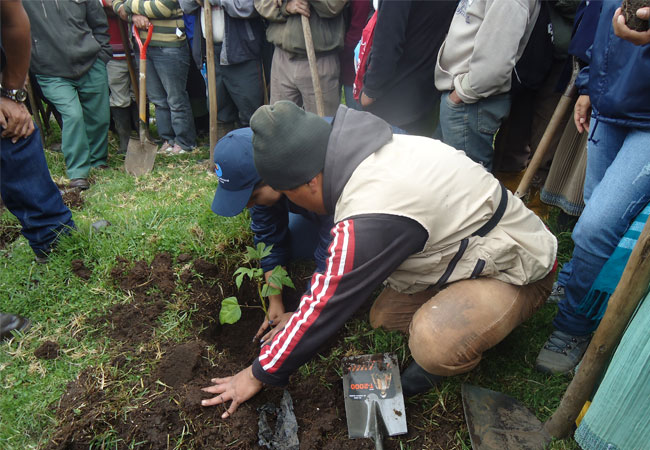 Con reforestación y feria celebran en Ecuador el Día Mundial del Ambiente