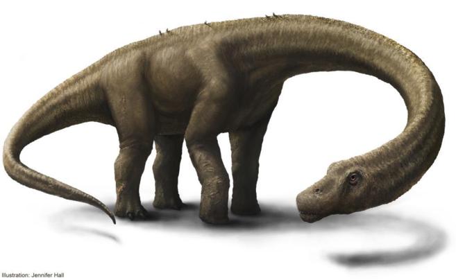 Descubren una nueva especie de dinosaurio gigante en Argentina