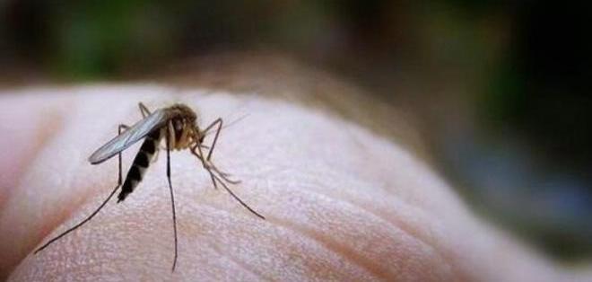 El Chikungunya disminuye el turismo en Esmeraldas