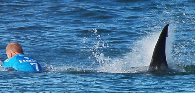 El impresionante escape de un surfista que fue atacado por un tiburón