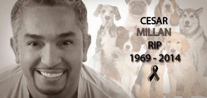 Matan al &#039;encantador de perros&#039;, César Millán, en las redes sociales