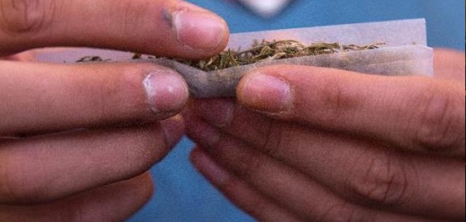 Uruguay: ¿cómo funcionará la producción y venta de marihuana?