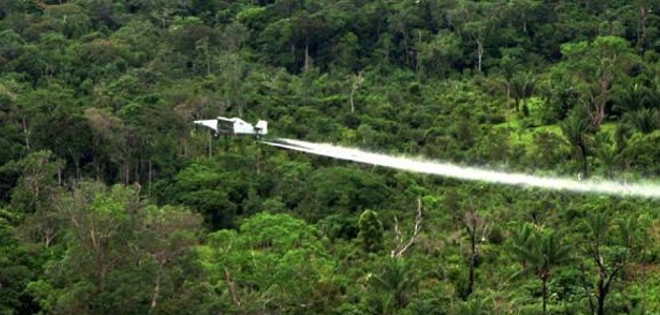 Ecuador descarta daños por nuevas fumigaciones antidrogas de Colombia