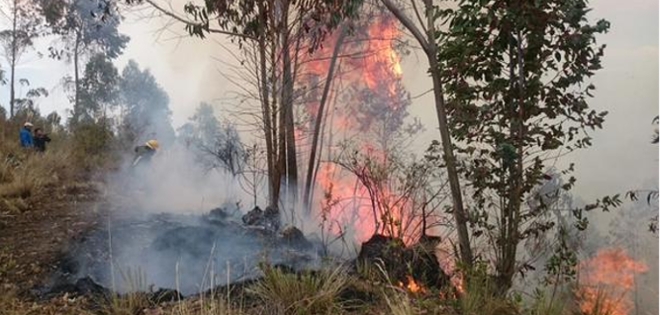 Incendio forestal acabó con 20 hectáreas de bosque en Cotopaxi