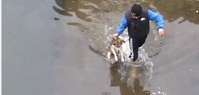 VIDEO: Perro salta de alegría tras ser rescatado de una represa