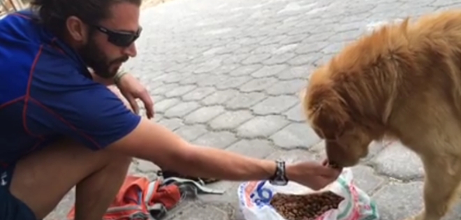 Deportista incentiva a tratar con amor a los perros callejeros