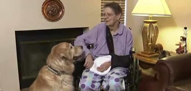 &#039;Ángeles de cuatro patas&#039;: anciana sobrevivió a accidente gracias a sus perros