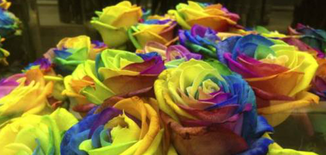 Chocolates y rosas de Ecuador se codean con Armani, Gucci y otros en España