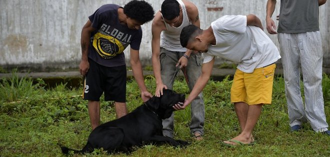 Perros y terapia animal en las prisiones italianas para ayudar a la reinserción