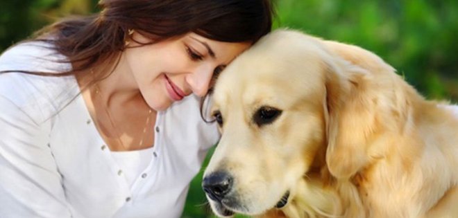 Los perros rechazan a las personas desagradables con sus dueños, según estudio