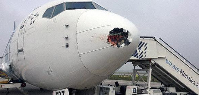 Esto es lo que ocurre cuando un pájaro choca con un avión