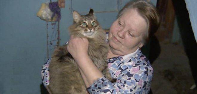Un gato callejero salva la vida de un bebé abandonado en Rusia